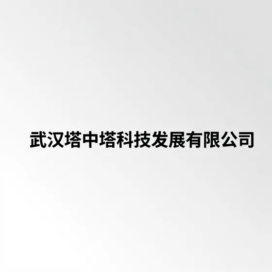武汉塔中塔科技发展有限公司